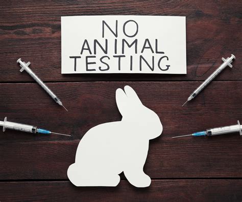 animal testing and its negative impacts article|why is animal testing dangerous.